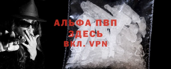 эйфоретик Иннополис