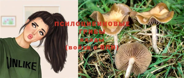 кокс Инта