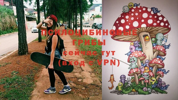 эйфоретик Иннополис