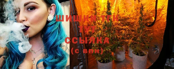 эйфоретик Иннополис