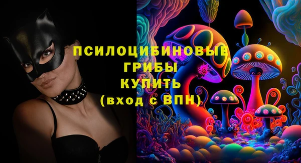 эйфоретик Иннополис