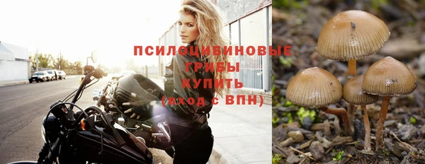 кокс Инта
