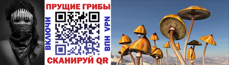 Галлюциногенные грибы ЛСД  Ноябрьск 