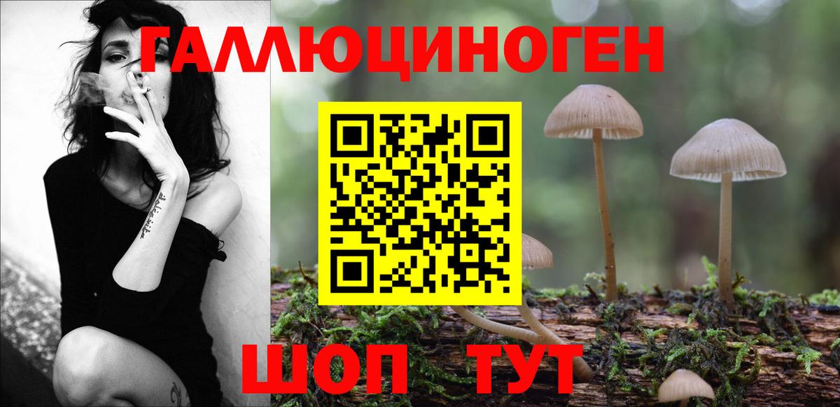 Галлюциногенные грибы мицелий  Псилоцибиновые грибы GOLDEN TEACHER  Ноябрьск  Вход с VPN 