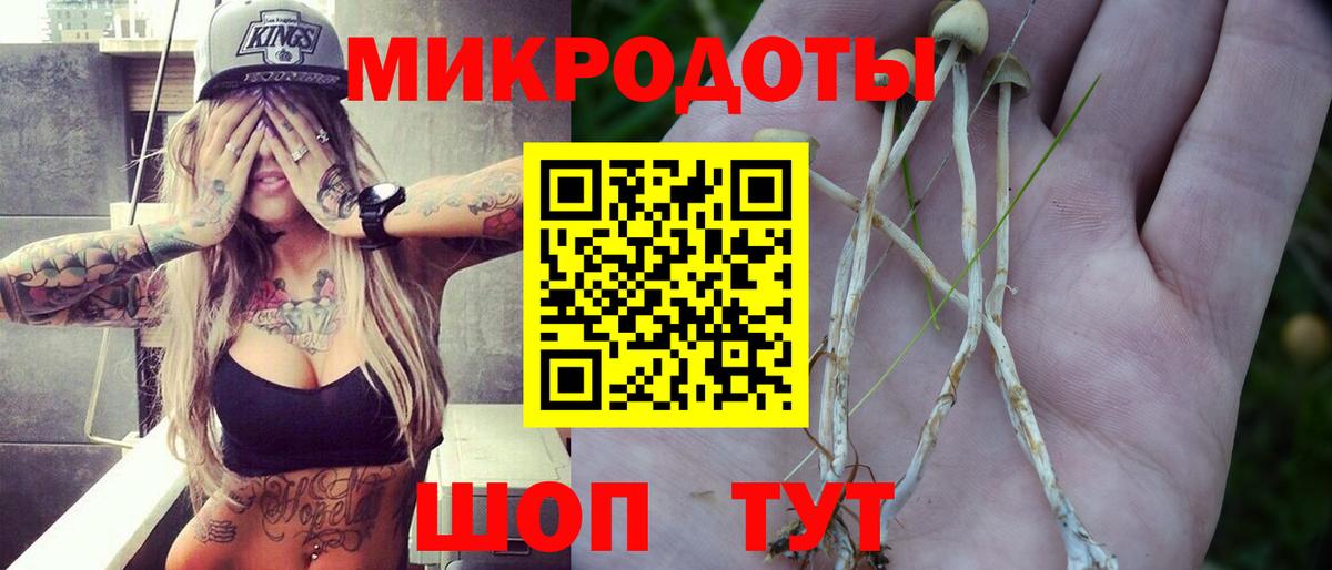 Псилоцибиновые грибы ЛСД Ноябрьск
